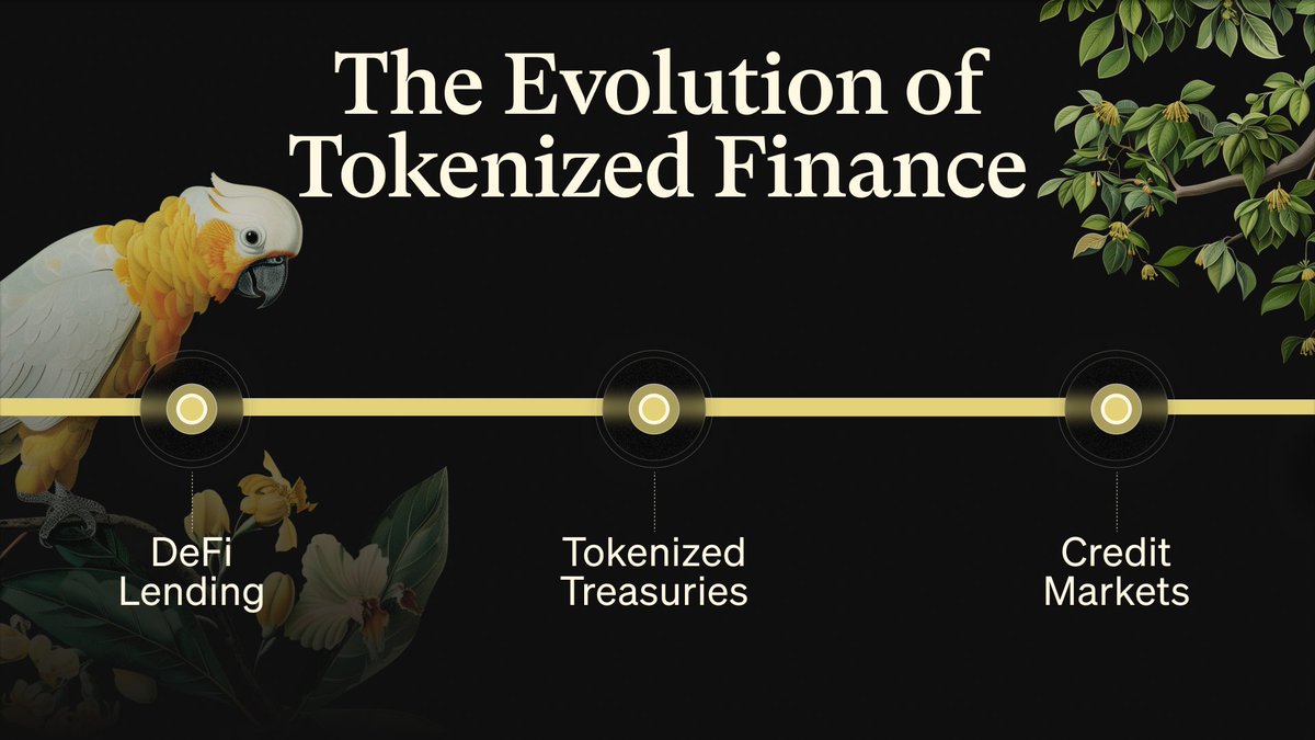 Grove Finance tweet media