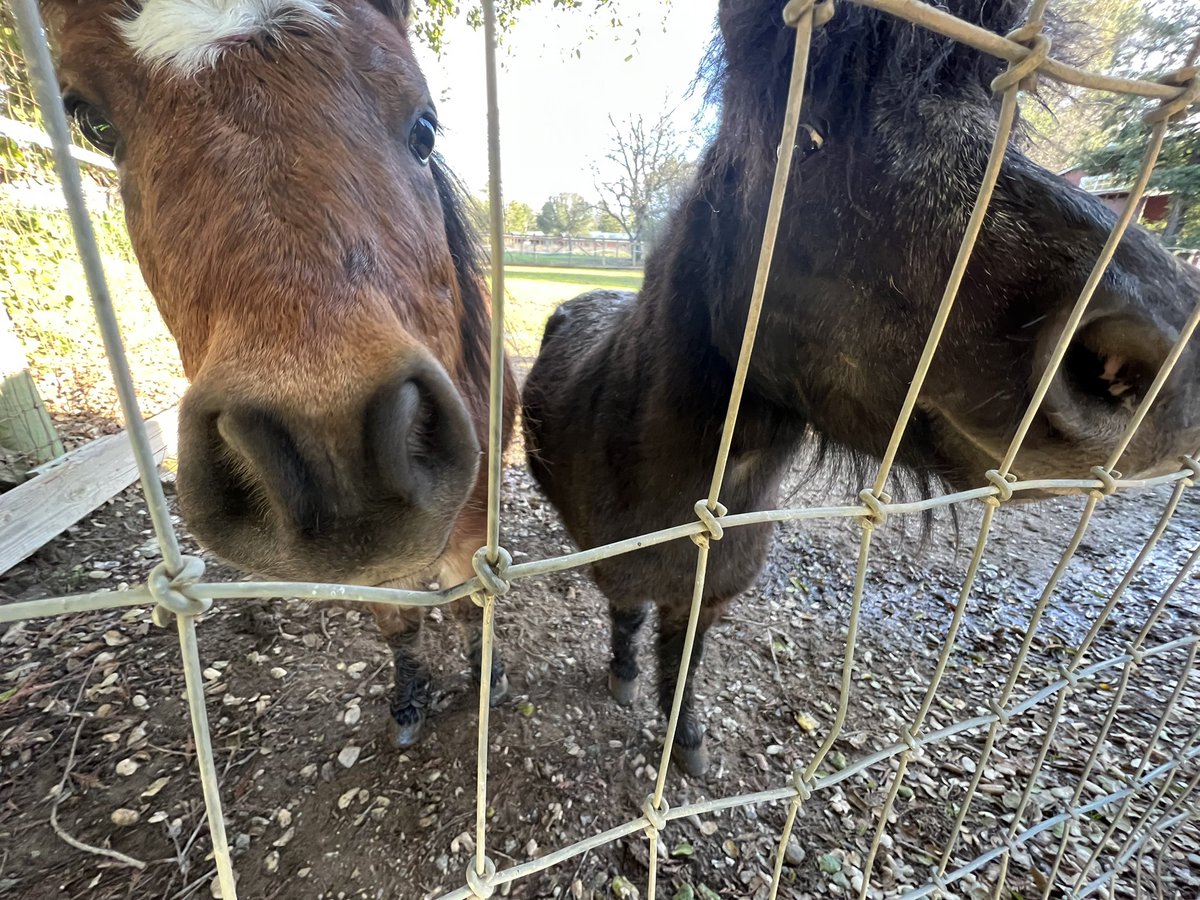 blake jamieson tweet media