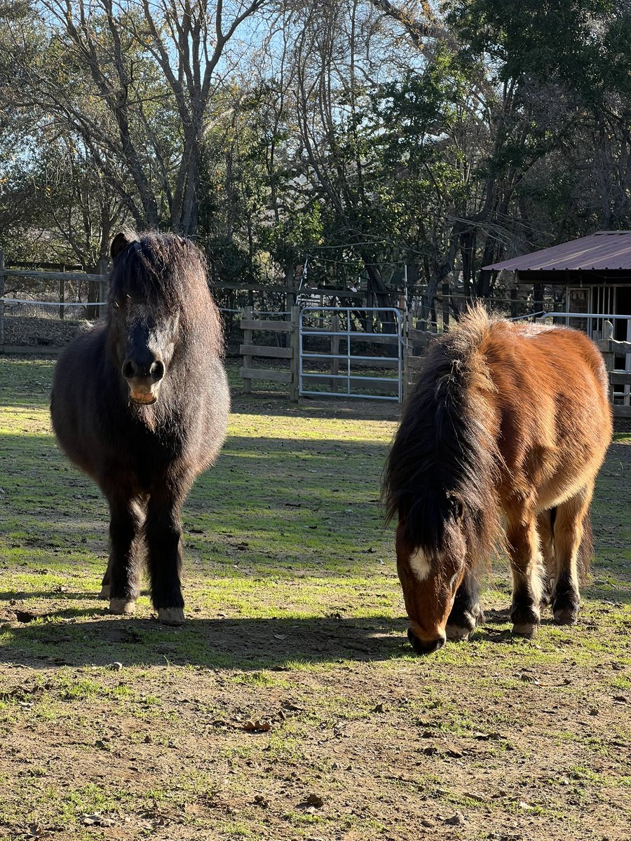 blake jamieson tweet media