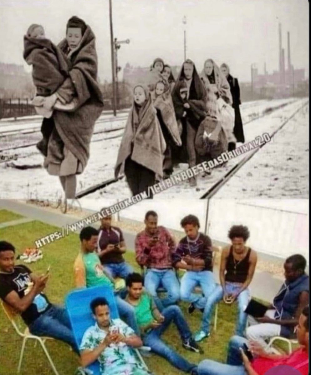 Lieve volgers …

Vluchtelingen “vroeger” vs vluchtelingen “nu”… en al die linkse zeikerds hier ….die vinden dit maar normaal ….walgelijk….

🤮🤮🤮🤮🤮