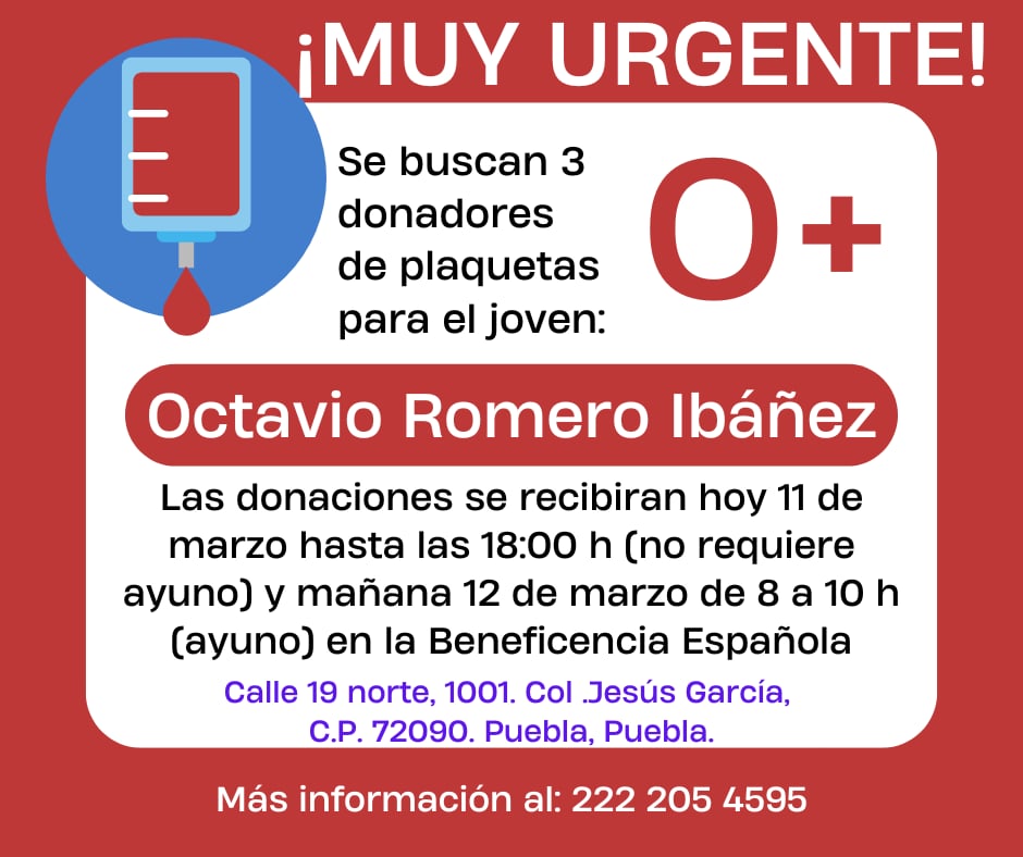 Beto Castillo tweet media