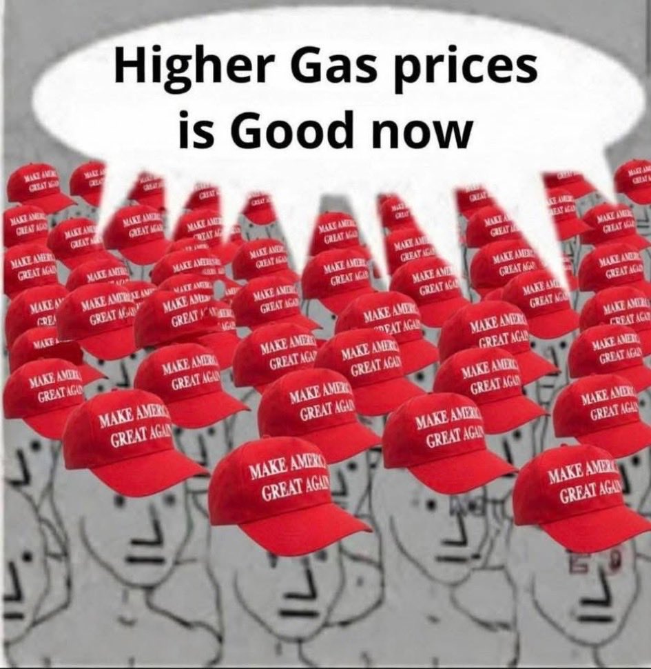 MooseyDog VI tweet media