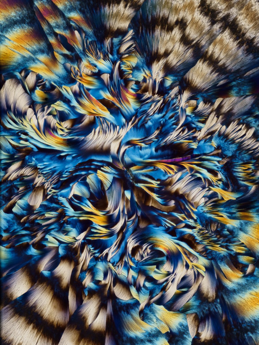 focuspirate tweet media