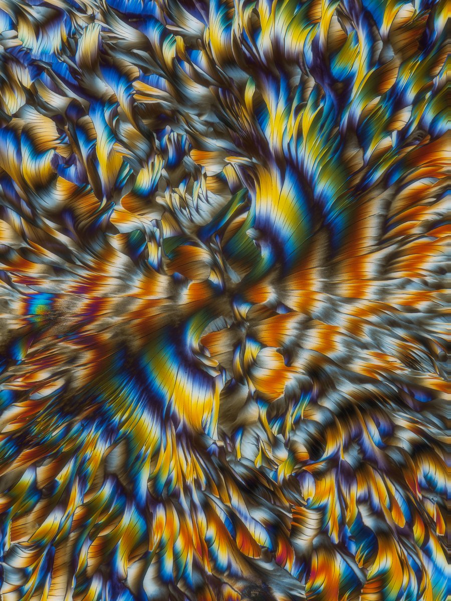 focuspirate tweet media