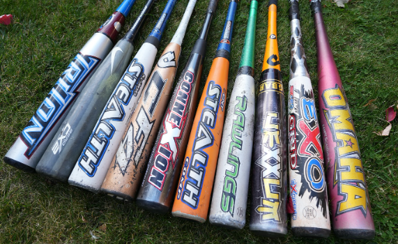 Washington Wild Things tweet media