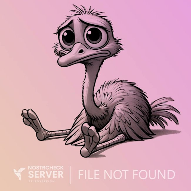 PlusProMichal tweet media