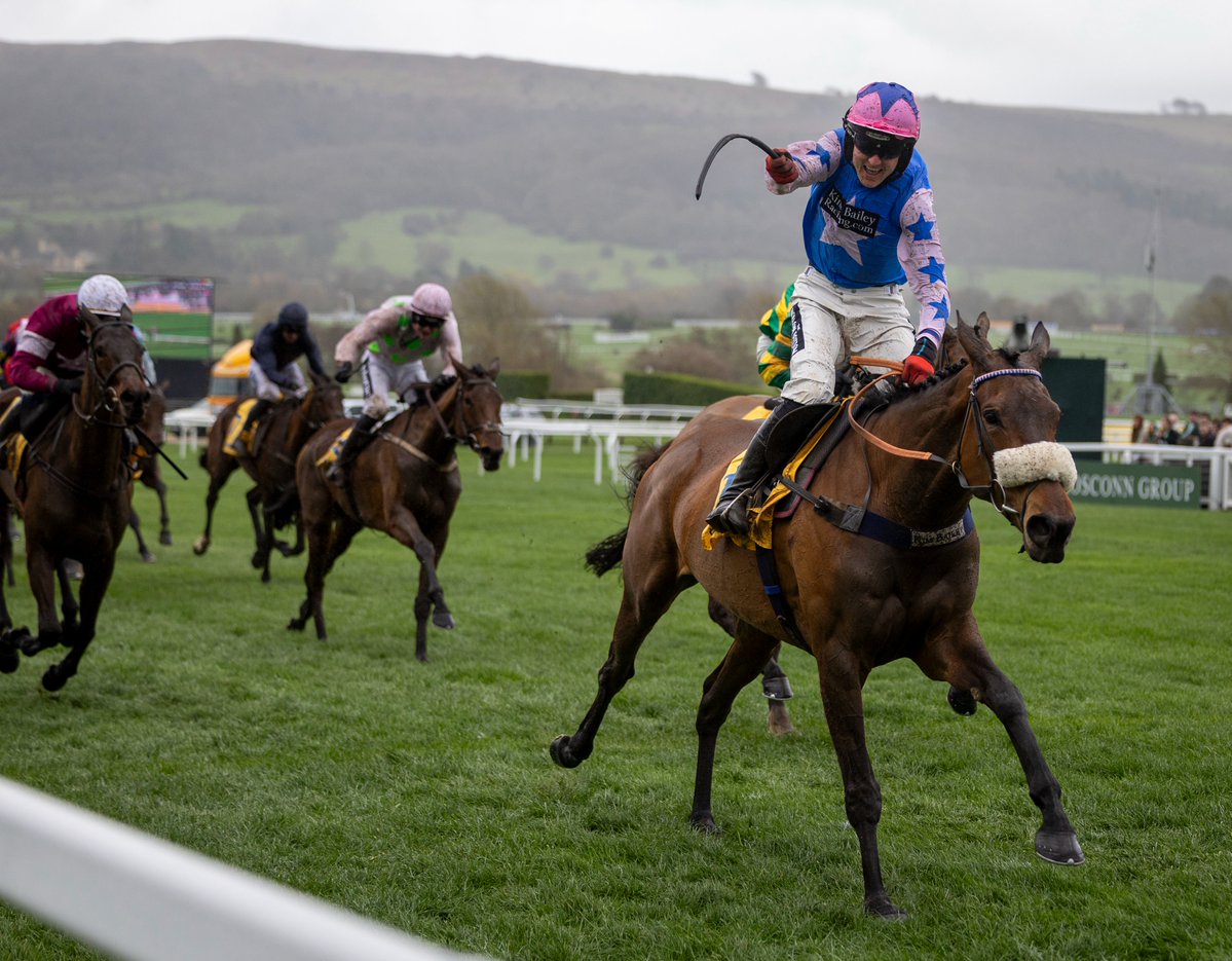 Racing Post Bloodstock tweet media