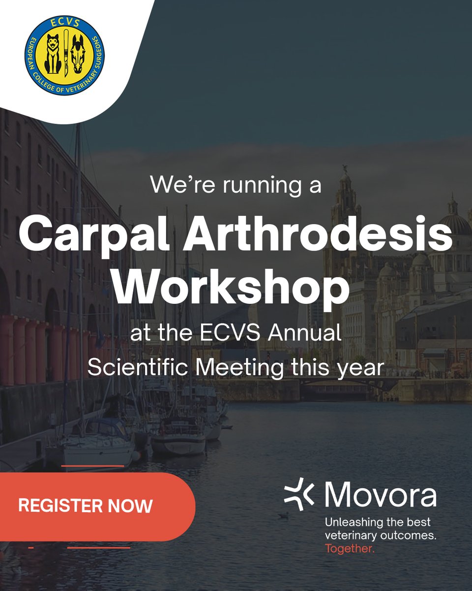 Movora UK tweet media