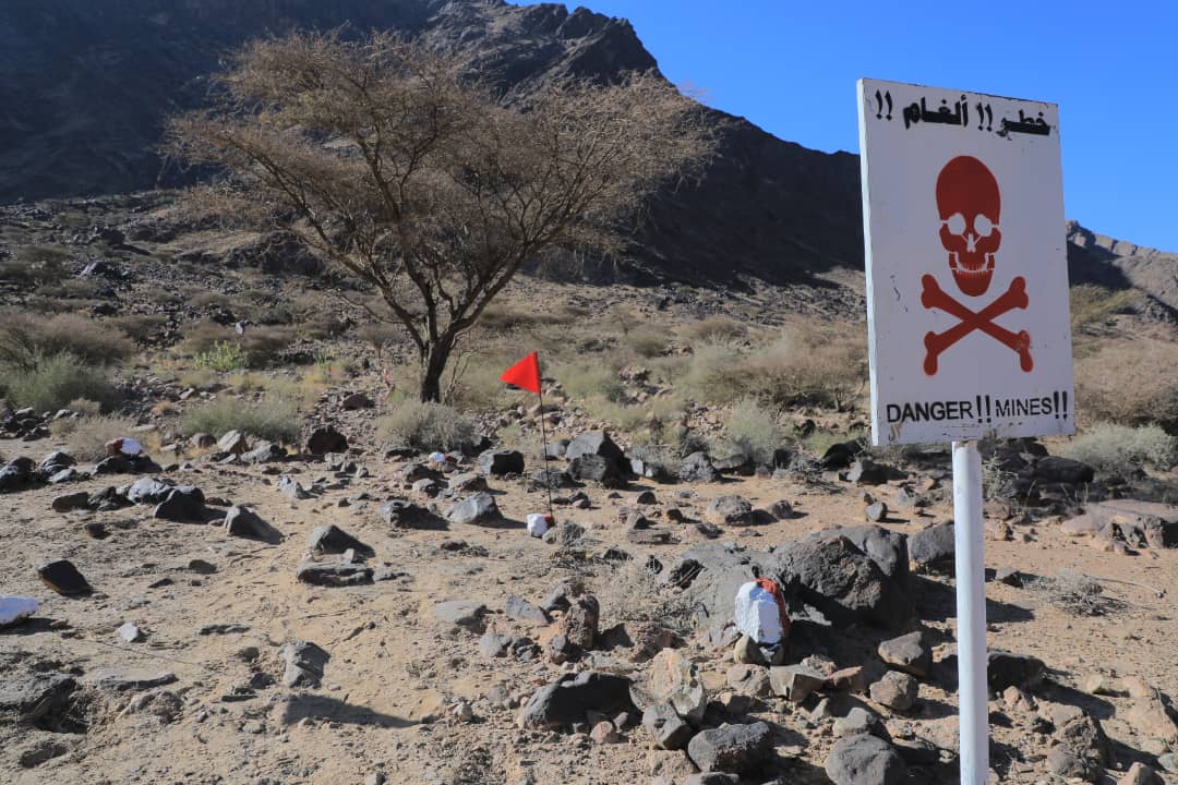 Masam Landmine Clearance Project - Yemen tweet media