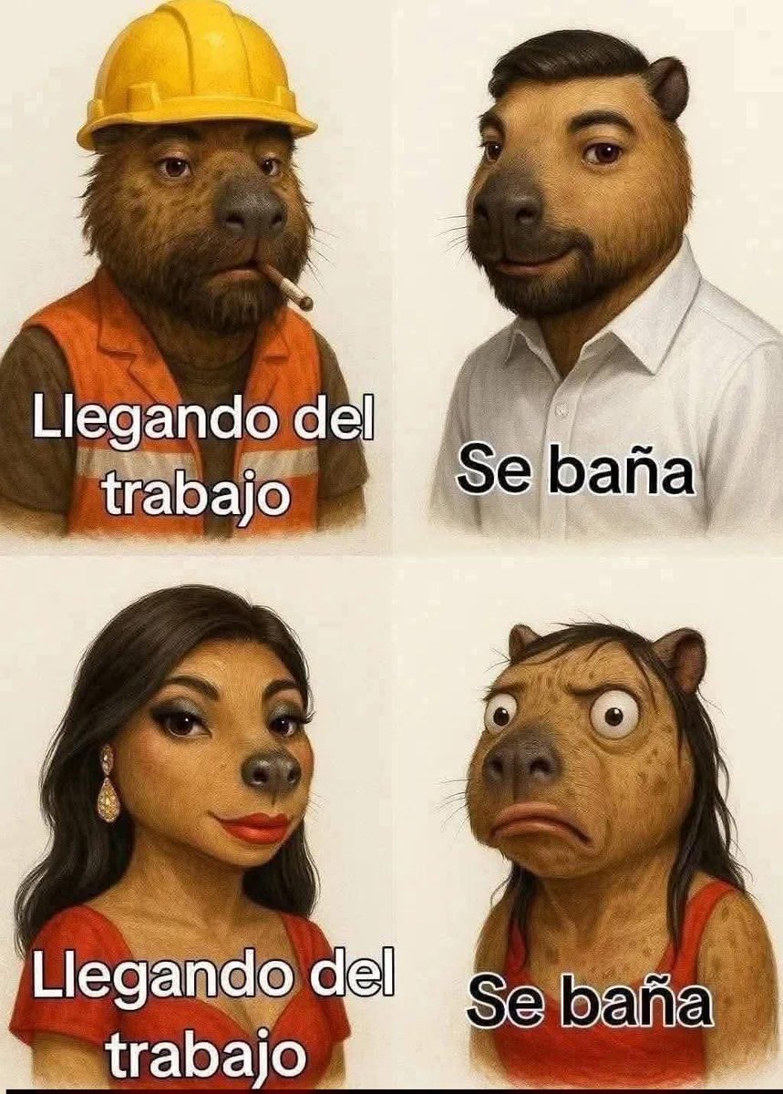 Mr. Flipy tweet media