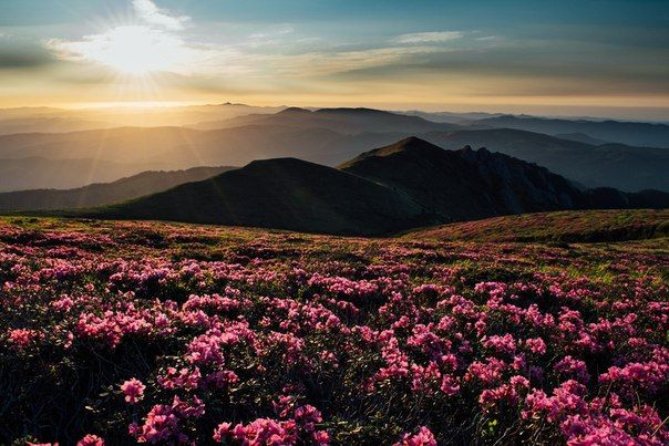 d i s p a t c h 🪩 tweet media