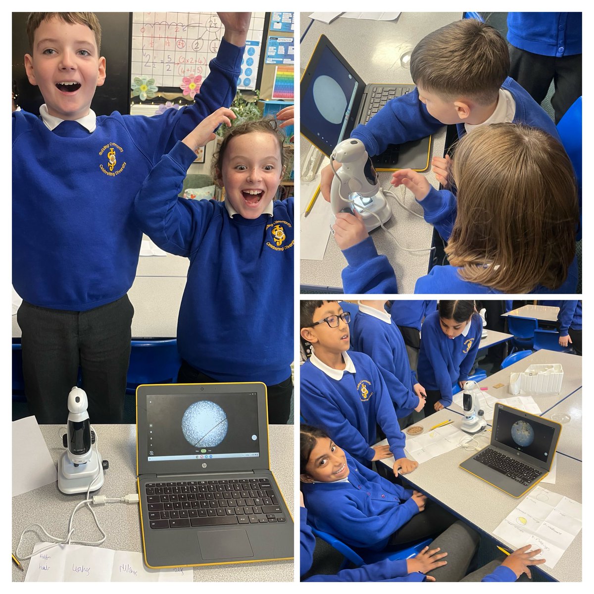 stjosephskly's tweet photo. #SJKBirchClass had a fantastic afternoon exploring like real scientists π¬ Using microscopes to investigate different objects and uncover a hidden world of tiny details #SJKScience #BSW2026 https://t.co/bwzRfE6Mzj