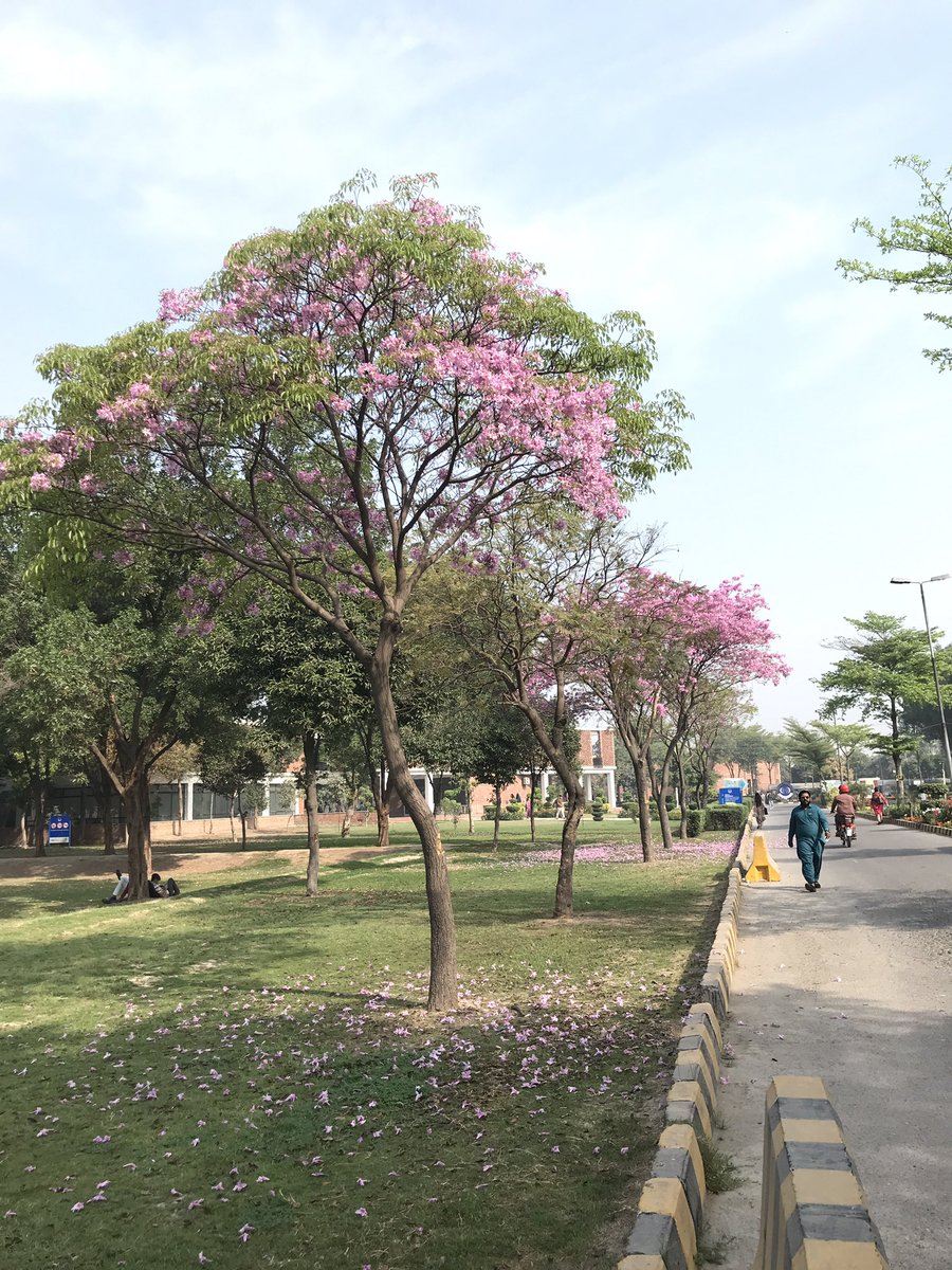 fatima ִ ࣪𖤐 tweet media