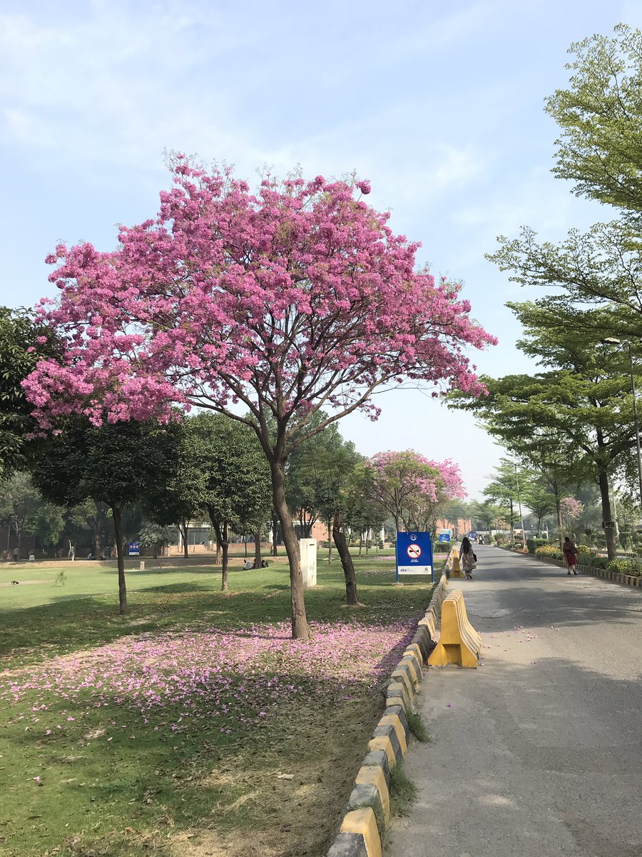 fatima ִ ࣪𖤐 tweet media