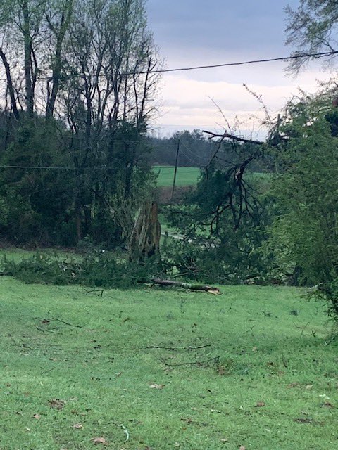 Josh Johnson tweet media