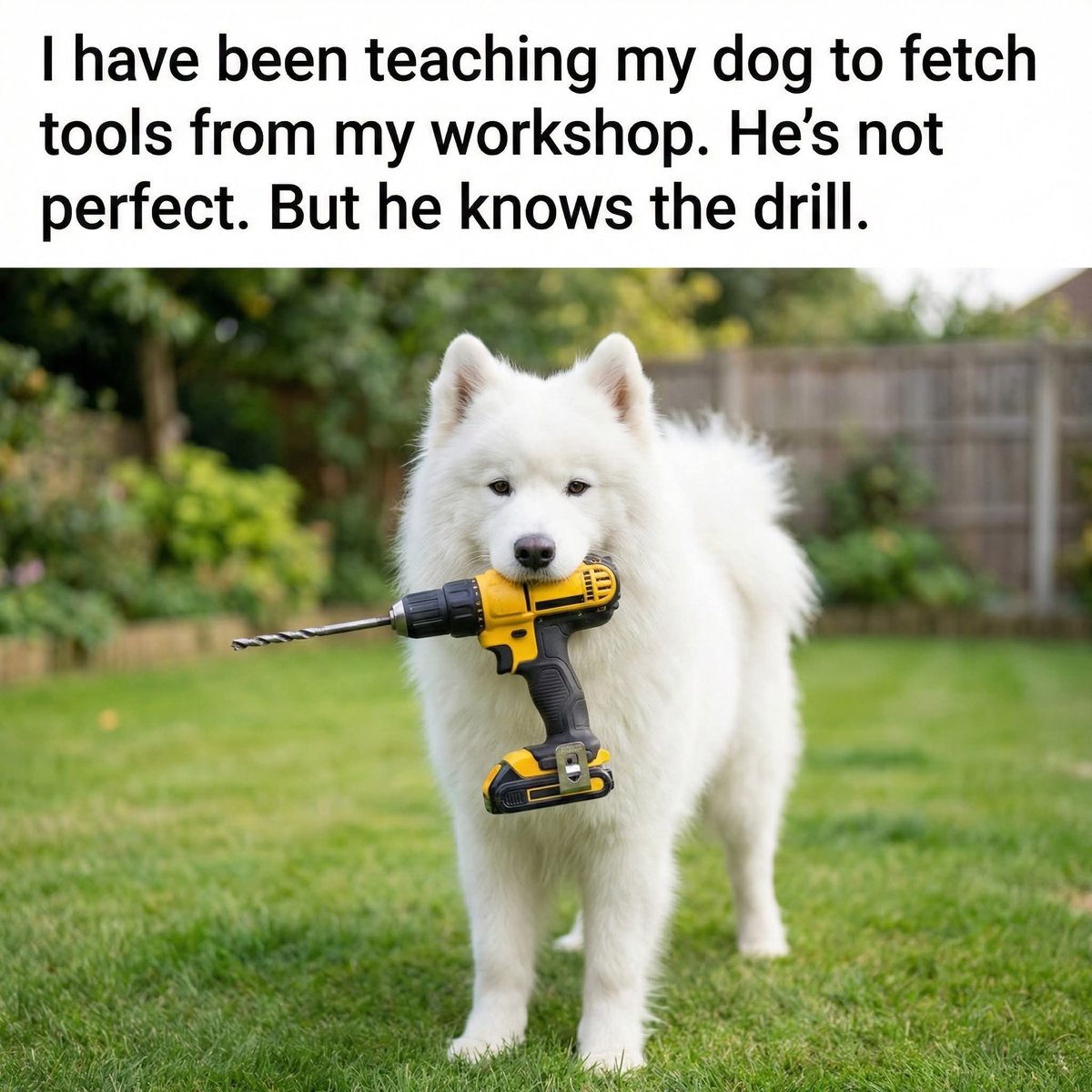 Johnny Cadillac tweet media