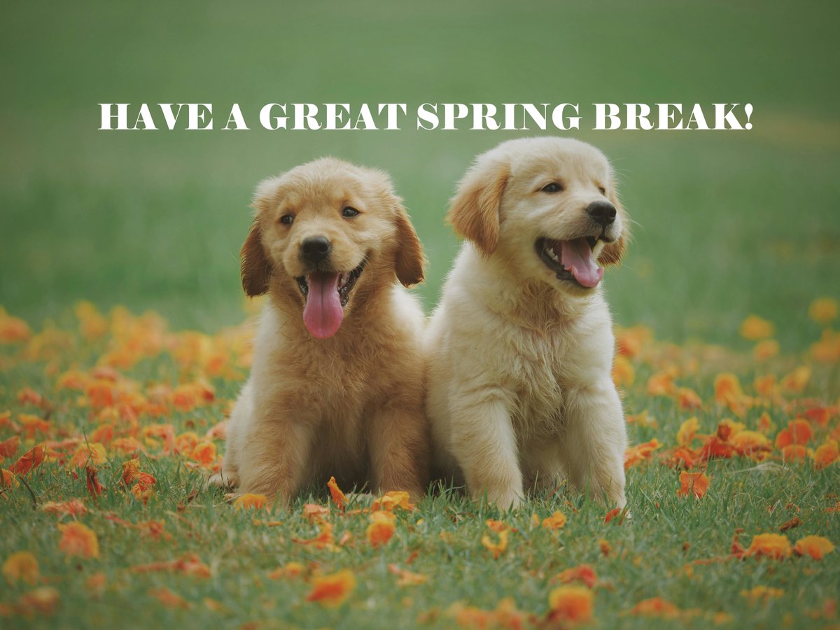 EBUSAcademy's tweet photo. Our office will be closed Mar. 14 - 29th for Spring Break. We wish all of our Teachers, staff, and students a fantastic time off! Remember your courses are still accessible, but your Teachers are not. 🌷 #ebusacademy #springbreak #relaxandrecharge  #springhasarrived #countingdown https://t.co/CU3yEXgATf