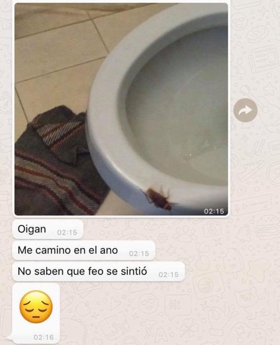 NaOwCSGO tweet media