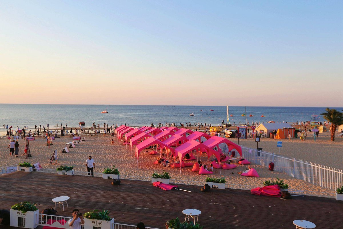 北美炒家助手 tweet media