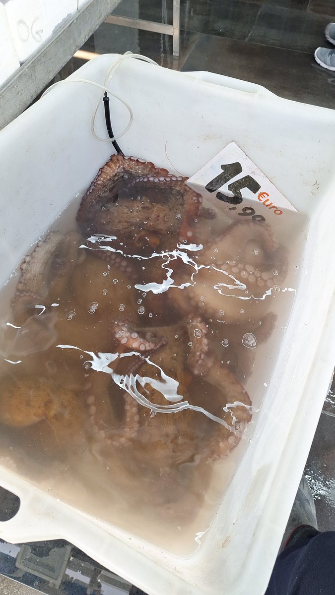 ASG_JAMBOS887 tweet media