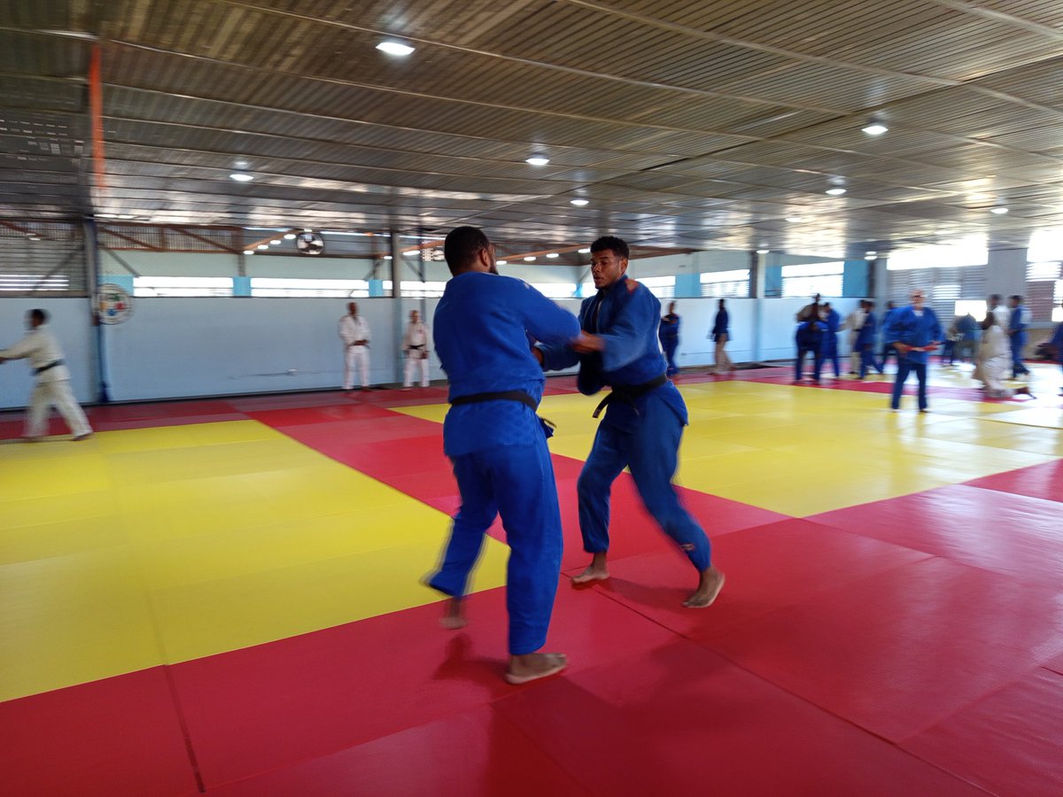 Guillermo Rodríguez Gato tweet media