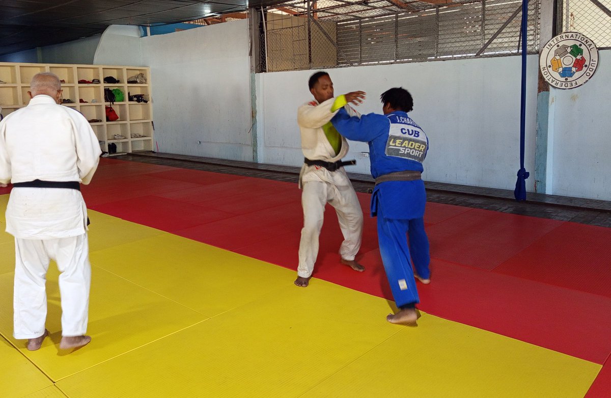 Guillermo Rodríguez Gato tweet media