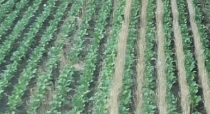 Ryan Hofford tweet media