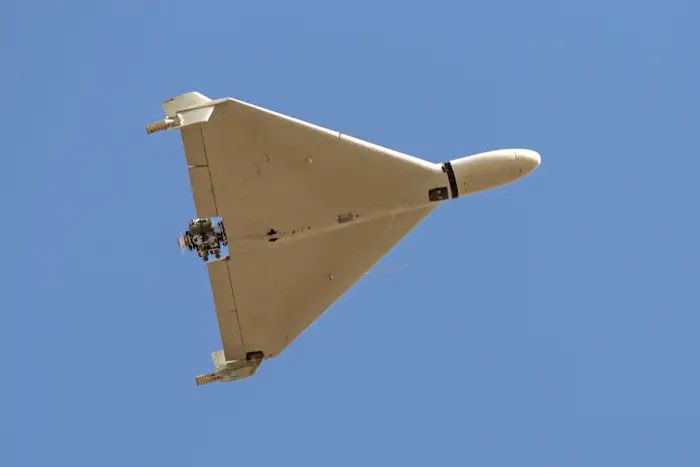 Whale Insider tweet media