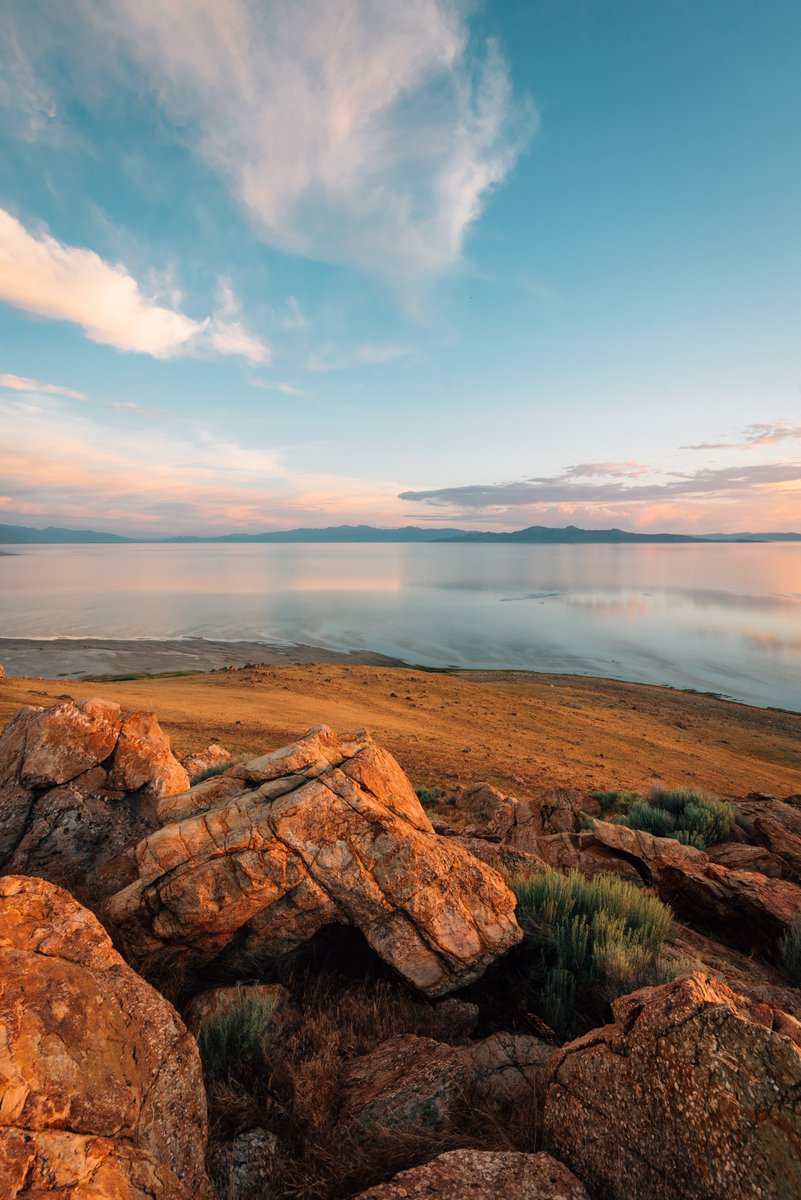 American Conservation Coalition tweet media