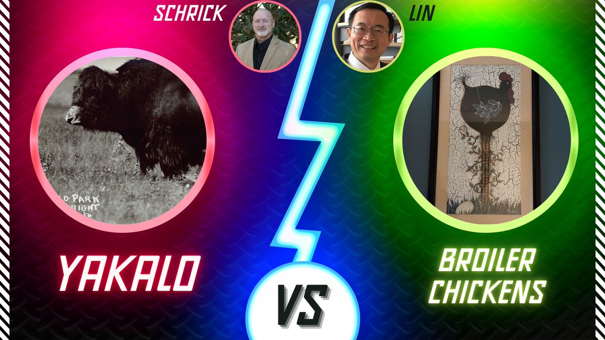 UT Animal Science tweet media