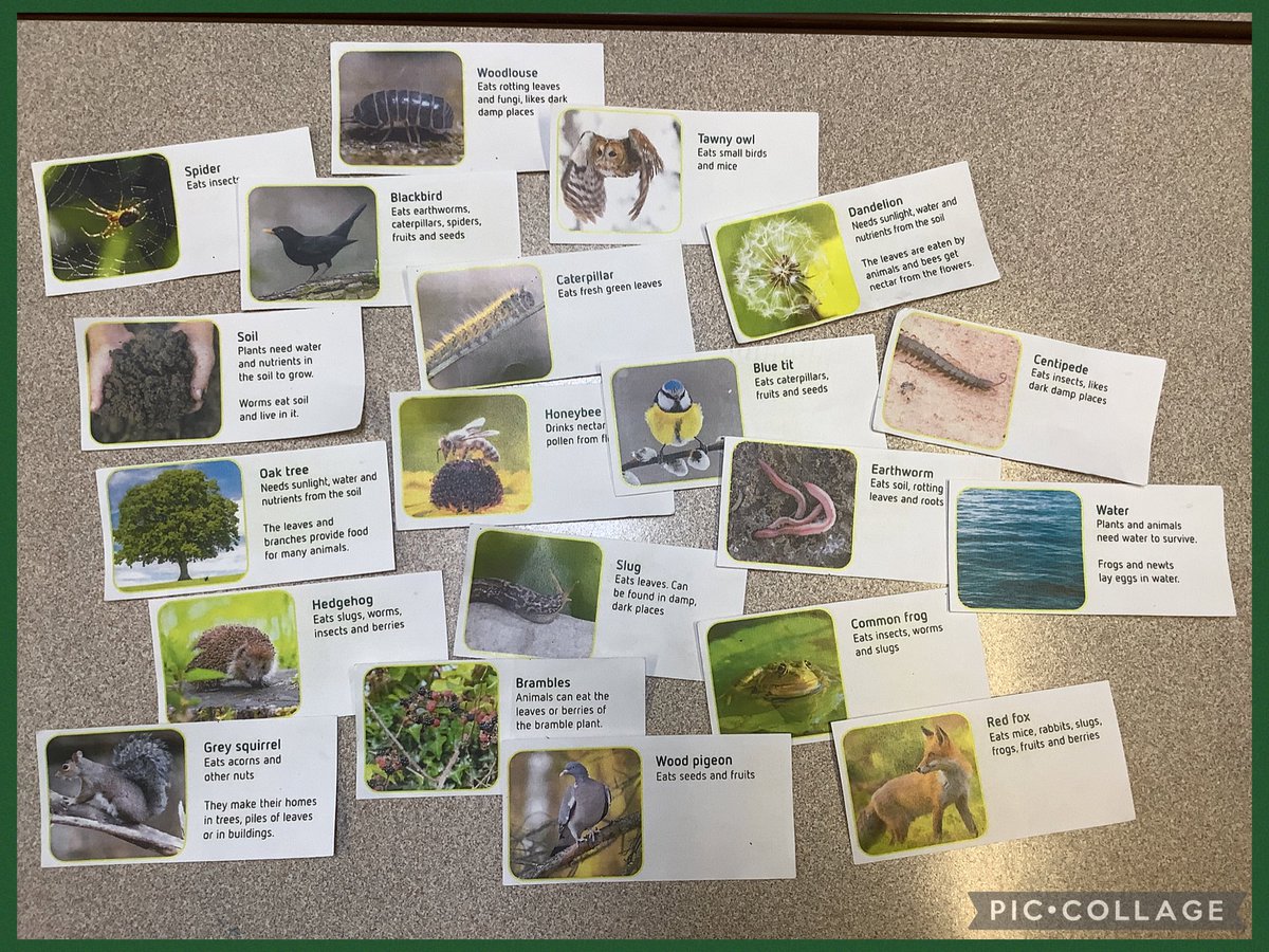 Year 2 @ St James' tweet media