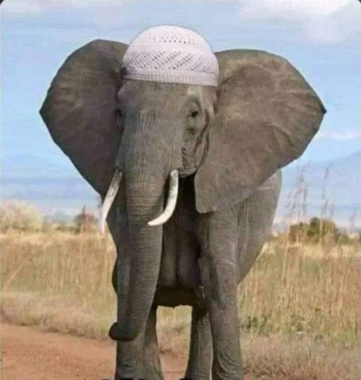 Coinboss tweet media