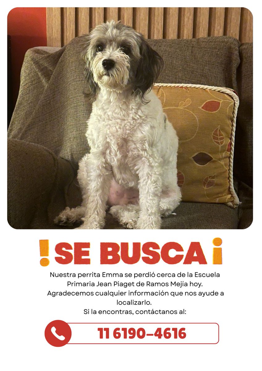 ru_sa2010's tweet photo. Por favor, es de una compañera. Se asusto por otro perro y salio corriendo zona Ramos mejía ( San martín al 900)
 Por favor RT https://t.co/OpwOQdRELO