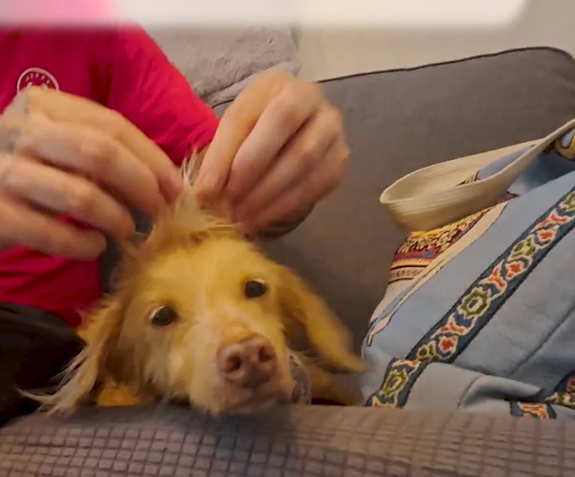 JoJo🇺🇸 tweet media