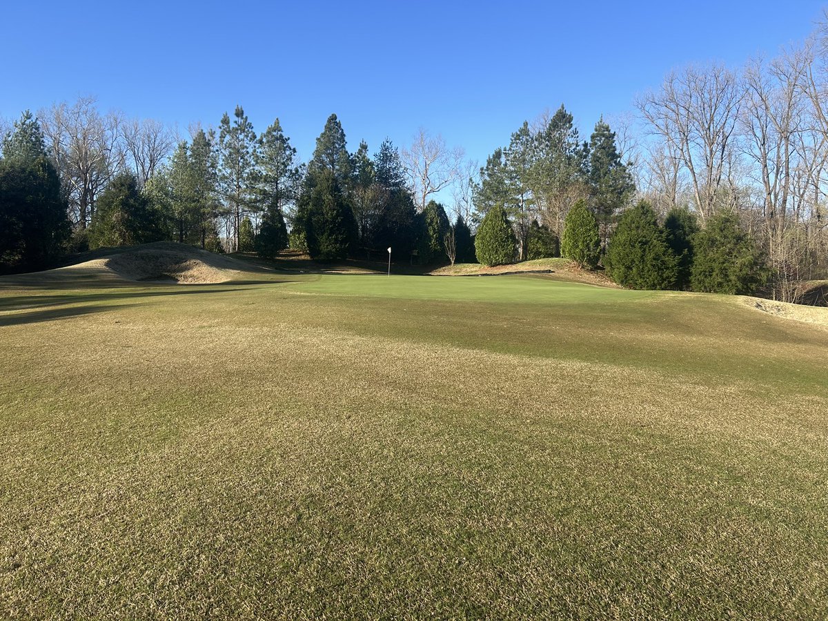 Nate Moore🐅 tweet media