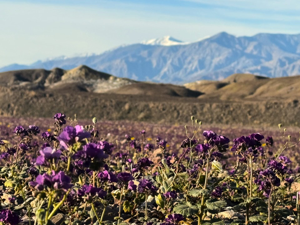 World Meteorological Organization tweet media