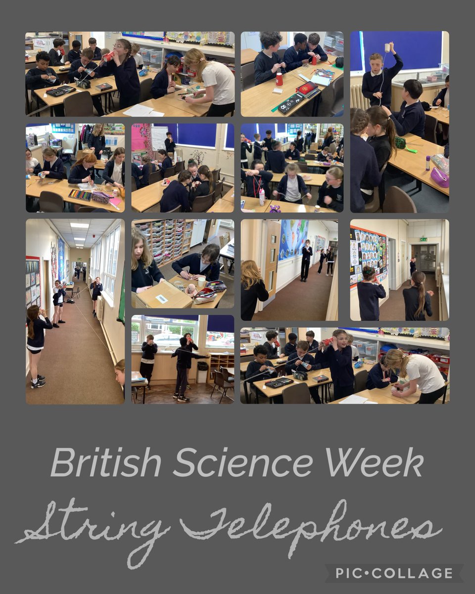 Mrs Todd tweet media