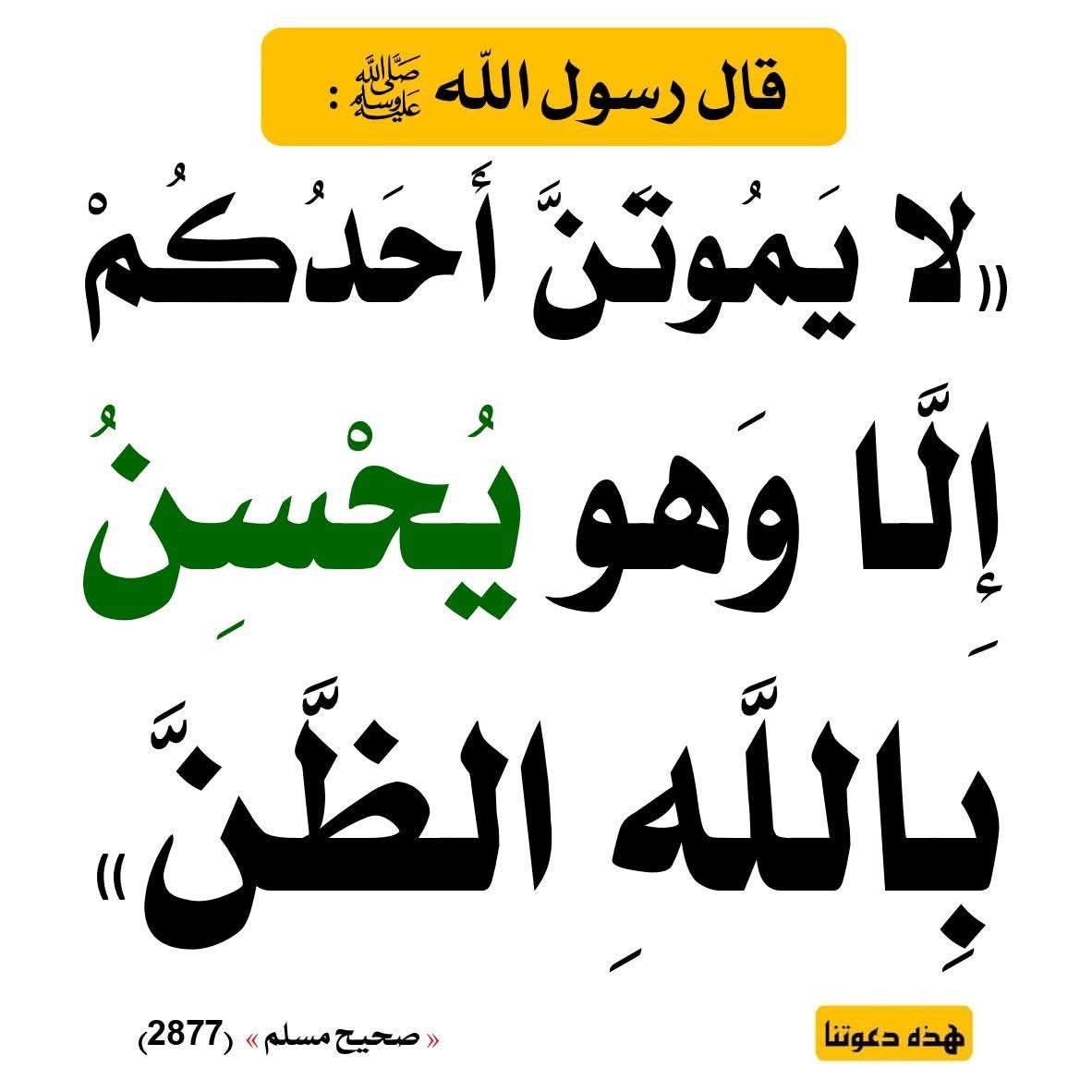 anasmasri's tweet photo. https://t.co/0HeW24cwBs