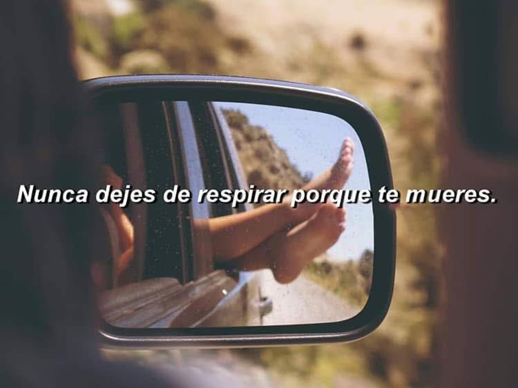 diegoaog's tweet photo. @Marialadelradio ¡Hola! Que suene “My Iron Lung” de Radiohead, “A Todo Pulmón” de Miguel Ríos o “Keep Yourself Alive” de Queen #Respirito #Nuevecito
Un pro-tip: https://t.co/3bxmmVB6k5