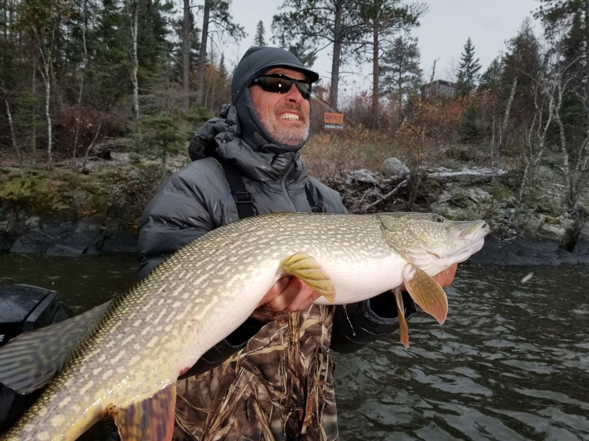 Pete Maina tweet media