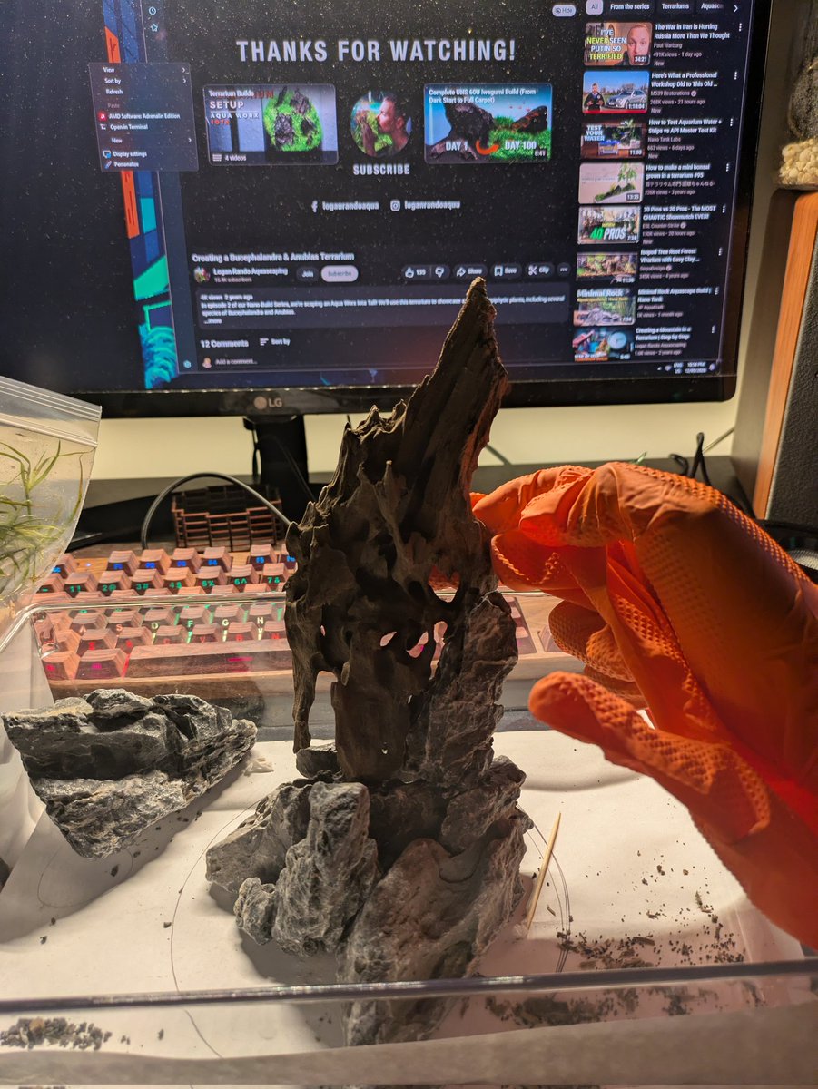 Praeliator tweet media