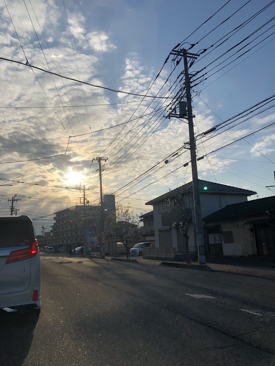 寒の戻った三月の夕暮れ
信号待ちの車窓
白木蓮の花が今年も咲き始めた
束の間の夢
優しくて懐かしい色

僕は一人
ブルースを聴きながら
鼻唄を歌った
時折目を充血させて

家に着いたら
顔を洗って
ギターを弾きたい