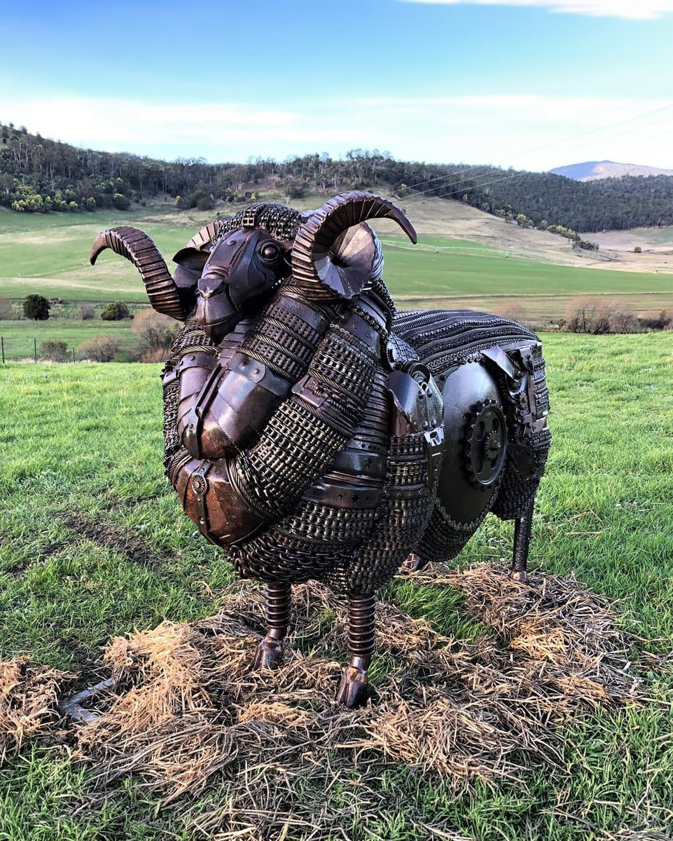 Steampunk_T's tweet photo. The Big Merino Ram!

A monumental scrap metal masterpiece by Matt Sloane in Copping, Tasmania. This big Merino ram is forged from old farm machinery, garden tools, and workshop steel, breathing new life into the region's agricultural past. https://t.co/CY0SHfx7Yb