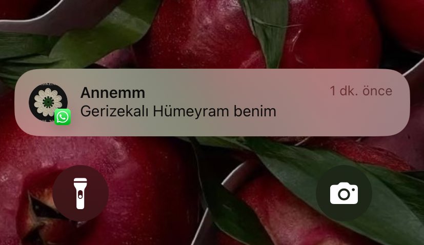 yurtta kaş açtığımı nerden öğrendi