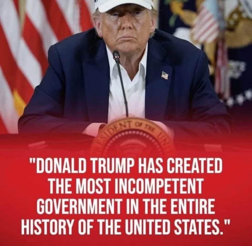 THERE'S A MEME FOR THAT 🐾☮️✌🏻 tweet media