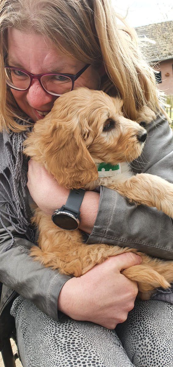 brunodoodle's tweet photo. Klein feestje vandaag, want 4 jaar geleden kreeg ik mijn thuis ☺️ @mjterborg @lein_tb https://t.co/lBDiAmjeCc