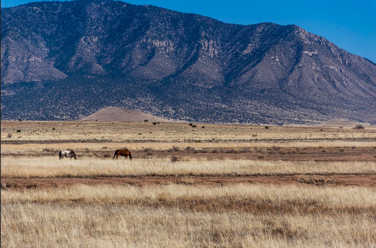 Fyveonit🔀 tweet media