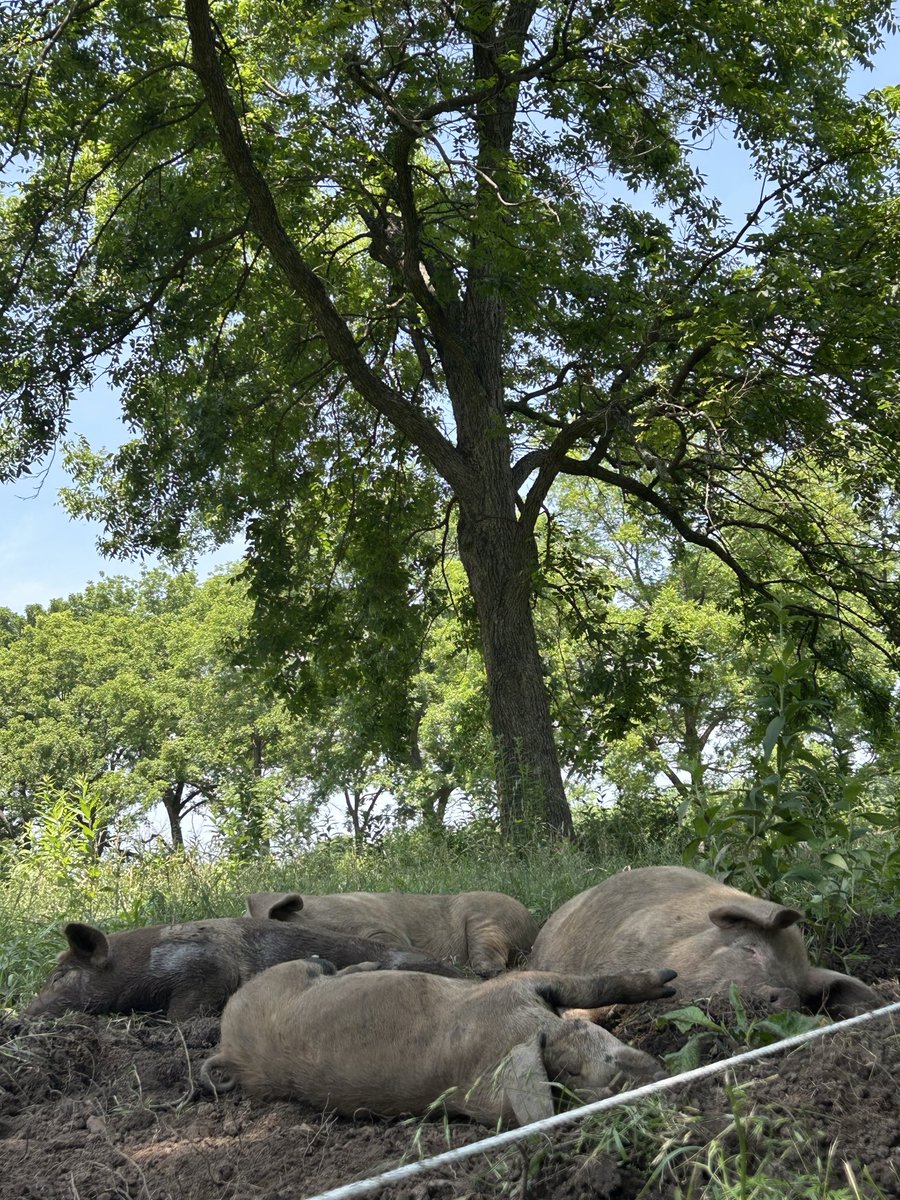 Eric Perner tweet media