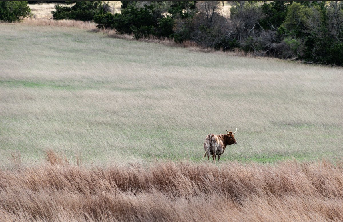 Fyveonit🔀 tweet media