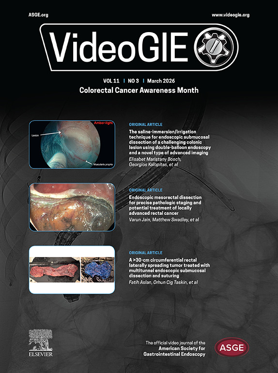 VideoGIE Journal tweet media